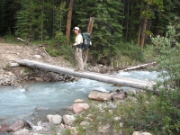 Footbridge across the Creek